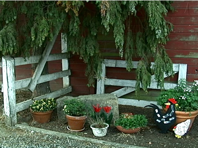 Joaquin Miller pics.113